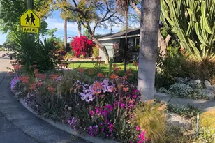 4080 Leigh Ave, San Jose, CA 95124 - Photo 74