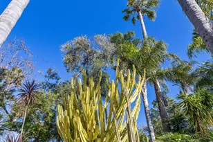 4080 Leigh Ave, San Jose, CA 95124 - Photo 64