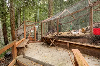 9913 Alba Rd, Ben Lomond, CA 95005 - Photo 4