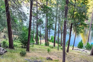 20160 Lower Skyridge Dr #15/93, Groveland, CA 95321 - Photo 1