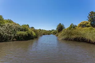 102 Tree Frog Ln, Santa Cruz, CA 95060 - Photo 50