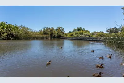 102 Tree Frog Ln, Santa Cruz, CA 95060 - Photo 46