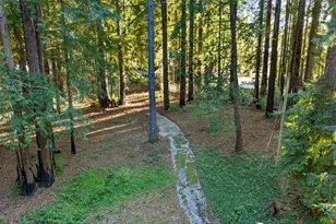 8472 Empire Grade, Santa Cruz, CA 95060 - Photo 44