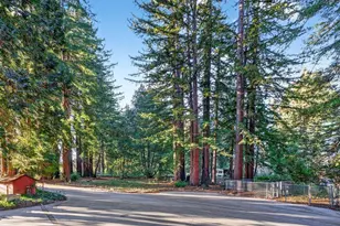 8472 Empire Grade, Santa Cruz, CA 95060 - Photo 30