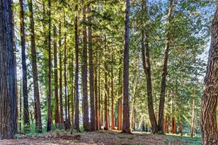 8472 Empire Grade, Santa Cruz, CA 95060 - Photo 46