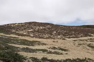 0 Tioga Ave, Sand City, CA 93955 - Photo 4