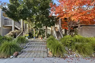 5547 Russo Dr, San Jose, CA 95118 - Photo 2