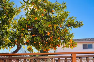 24927 2nd St, Hayward, CA 94541 - Photo 22