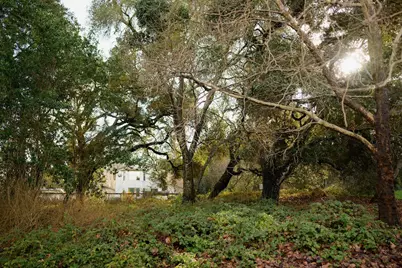 132 Arabian Way, Scotts Valley, CA 95066 - Photo 72