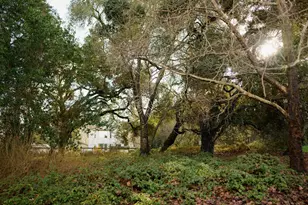 132 Arabian Way, Scotts Valley, CA 95066 - Photo 72