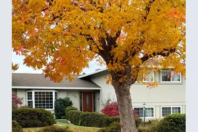 3384 Burgundy Dr, San Jose, CA 95132 - Photo 1