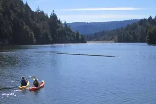 11207 Lake Blvd, Felton, CA 95018 - Photo 38