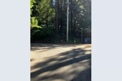 11207 Lake Blvd, Felton, CA 95018 - Photo 38