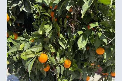 718 Webster Dr, San Jose, CA 95133 - Photo 32