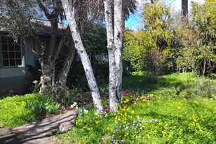 1280 Grant Rd, Los Altos, CA 94024 - Photo 12