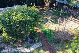 1280 Grant Rd, Los Altos, CA 94024 - Photo 10