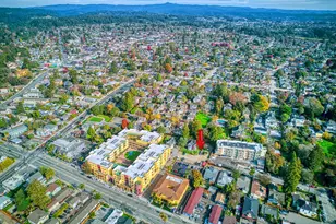 338 Ocean St, Santa Cruz, CA 95060 - Photo 4