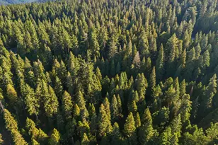 2178 Karock Rd, Arnold, CA 95223 - Photo 34