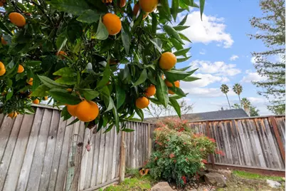 4537 Heppner Ln, San Jose, CA 95136 - Photo 34