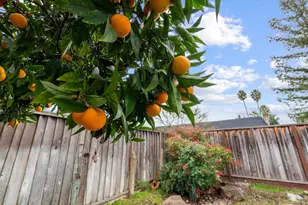 4537 Heppner Ln, San Jose, CA 95136 - Photo 34