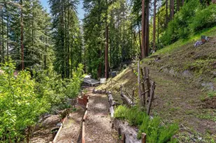 360 McGaffigan Mill Rd, Boulder Creek, CA 95006 - Photo 52