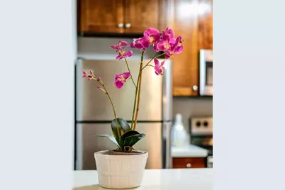 6148 Shelter Creek Ln, San Bruno, CA 94066 - Photo 4