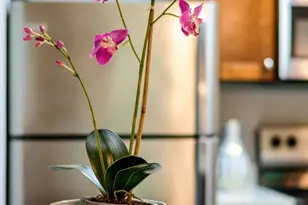 6148 Shelter Creek Ln, San Bruno, CA 94066 - Photo 4