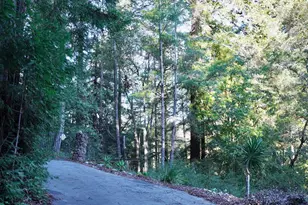 245 Northridge Dr, Scotts Valley, CA 95066 - Photo 48