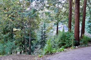 245 Northridge Dr, Scotts Valley, CA 95066 - Photo 4