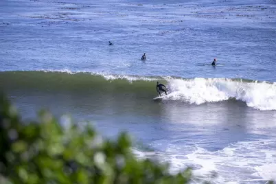 1610 Bulb Ave, Santa Cruz, CA 95062 - Photo 26