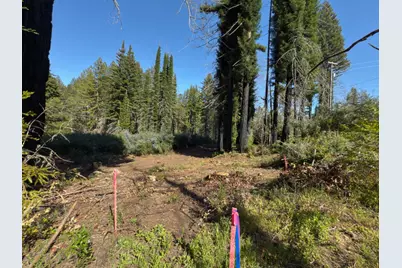 0 Fallen Leaf Dr, Boulder Creek, CA 95006 - Photo 16