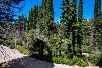 0 Fallen Leaf Dr, Boulder Creek, CA 95006 - Photo 6