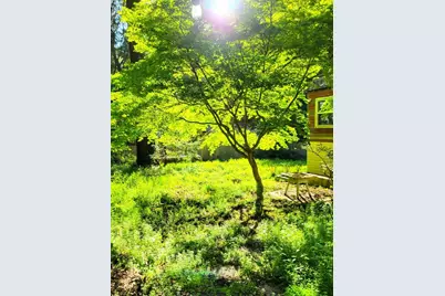 785 Cathedral, Aptos, CA 95003 - Photo 6