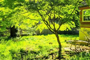 785 Cathedral, Aptos, CA 95003 - Photo 6