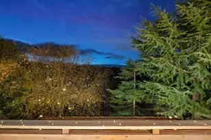 23 Treetop Ln, San Mateo, CA 94402 - Photo 26