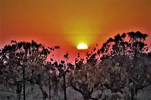 15800 Jackson St, Drytown, CA 95699 - Photo 14