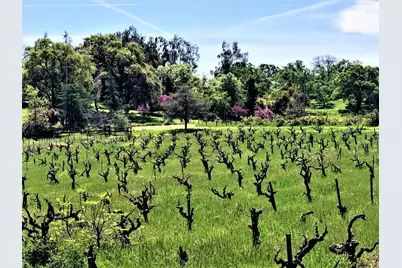 15800 Jackson St, Drytown, CA 95699 - Photo 12