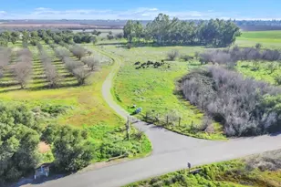 27643 Co Rd 88, Winters, CA 95694 - Photo 4