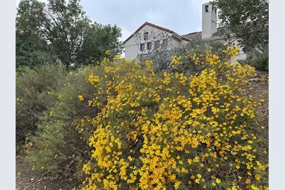 8255 Rancho Real, Gilroy, CA 95020 - Photo 16