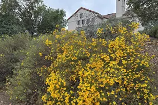 8255 Rancho Real, Gilroy, CA 95020 - Photo 16