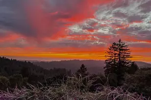 1584 Tindall Ranch Rd, Corralitos, CA 95076 - Photo 36