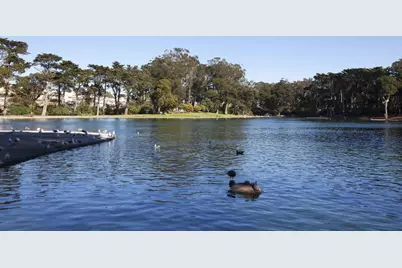 494 46th Ave, San Francisco, CA 94121 - Photo 96