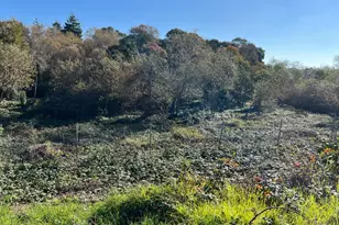 91 Alta Vista, Watsonville, CA 95076 - Photo 20