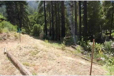 14965 Virginia Ave, Boulder Creek, CA 95006 - Photo 4