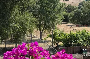 6449 Curie Ct, San Jose, CA 95123 - Photo 52