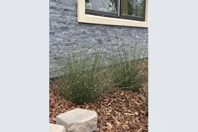 523 Union Ave, Campbell, CA 95008 - Photo 46