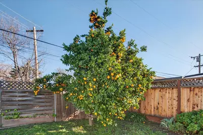 4273 McKinnon Dr, San Jose, CA 95130 - Photo 24