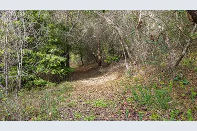 1000 Harmon Gulch Rd, Boulder Creek, CA 95006 - Photo 38