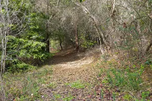 1000 Harmon Gulch Rd, Boulder Creek, CA 95006 - Photo 38