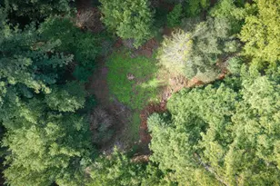 1000 Harmon Gulch Rd, Boulder Creek, CA 95006 - Photo 32